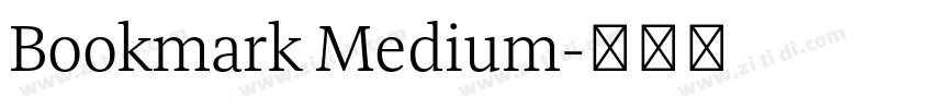 Bookmark Medium字体转换